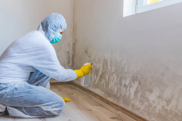 Mold Remediation specialist working in Riverdale